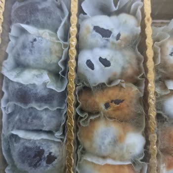 Kardelen Kestane Şekerleri Tüm Kestaneler Küflenmiş Çıktı