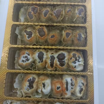 Kardelen Kestane Şekerleri Tüm Kestaneler Küflenmiş Çıktı