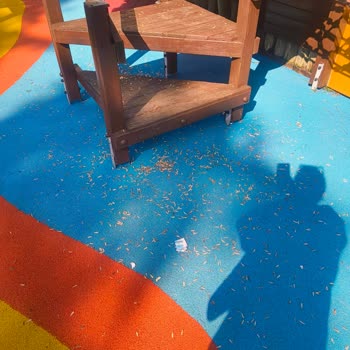 Orhan Veli Kanık Parkında Temizlik Ve Güvenlik Sorunları Çözülmeli