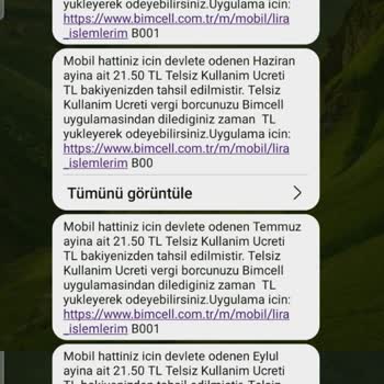 Taşıma Sonrası Hatalı 251,48 TL Telsiz Ücret Borcu İptali Talebi