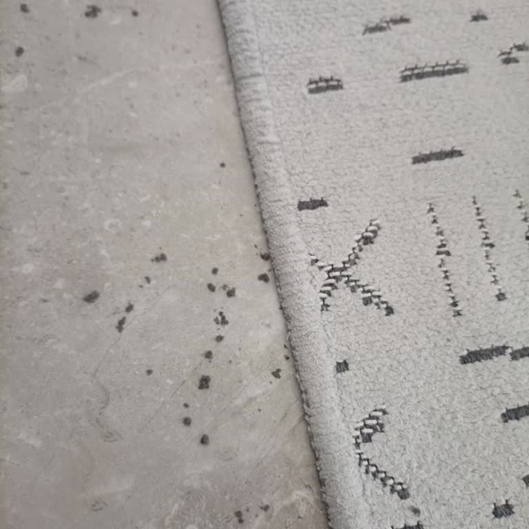 Gümüşsuyu Halı Birkaç Ay Sonra Altı Bu Şekilde Dökülmeye Başladı