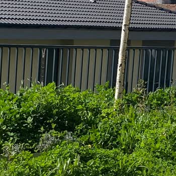 Temel Hizmetler Eksikken 4.900 TL Aidat Talebi Ve Şeffaf Hesap Açıklaması İsteği