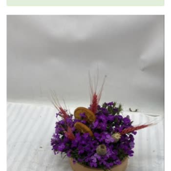 Yanlış Çiçek Gönderildi, Ücretsiz Düzeltme Talep Ediyorum