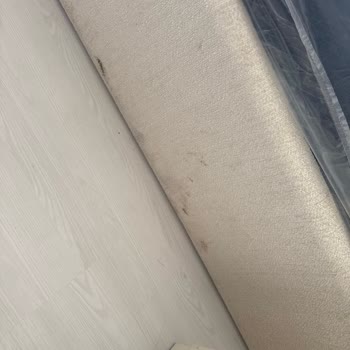 Teslimat Gecikmesi, Kirli Baz Ve Cevapsız Müşteri Hizmeti