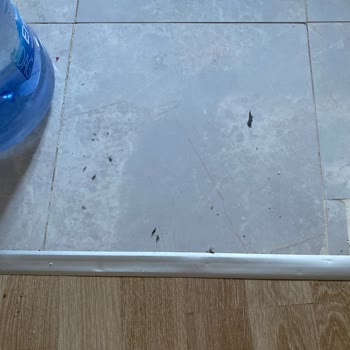 Philips 7000 Robot Süpürge Temizlik Performansı Beklentileri Karşılamıyor