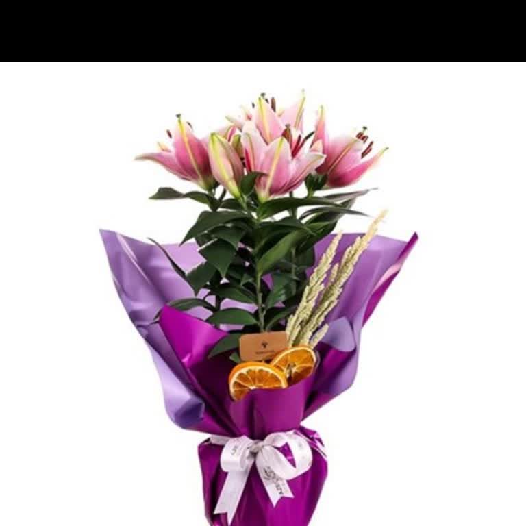 Açık Lilyum Beklerken Kapanık Tomurcuklar Gönderildi