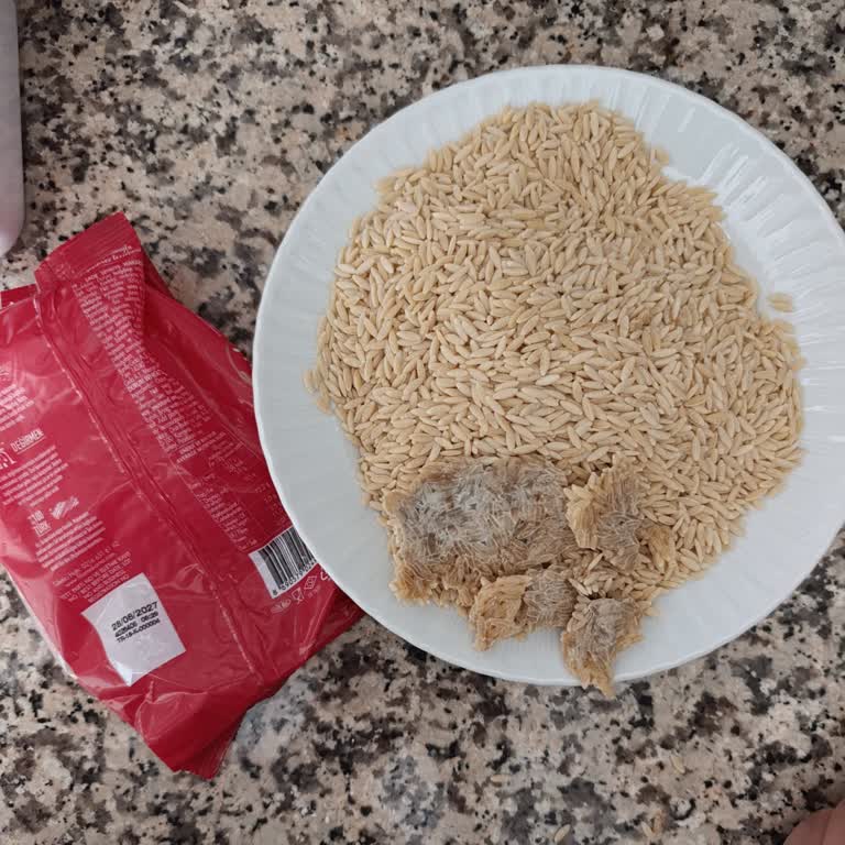 BİM Marketten Küflenmiş Filiz Şehriye Ürünü