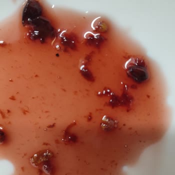 Vişne Reçelinde Kurtlu Kavanoz Sağlık Riski Ve Denetim İstemi