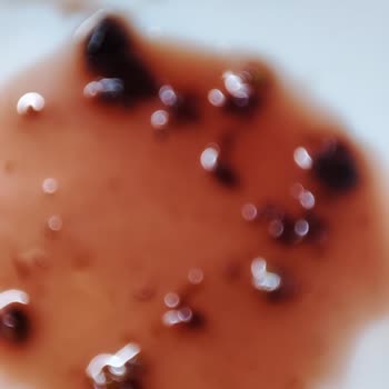 Vişne Reçelinde Kurtlu Kavanoz Sağlık Riski Ve Denetim İstemi