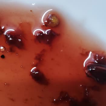 Vişne Reçelinde Kurtlu Kavanoz Sağlık Riski Ve Denetim İstemi