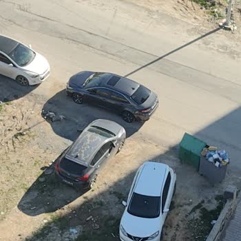 Çöp Konteyneri Aracımın Giriş Çıkışını Engelliyor ve Kötü Koku Oluşturuyor