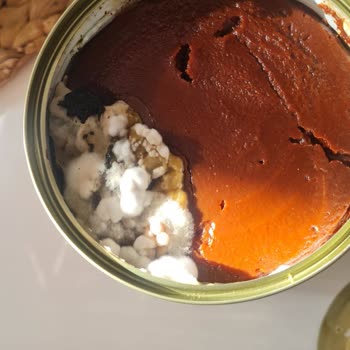 Tamek Konserve Salçasında Küflenme: Sağlık Riski Ve Güven Kaybı