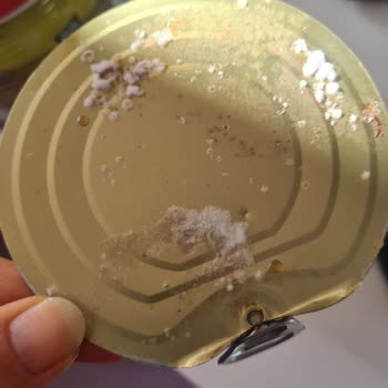 Tamek Konserve Salçasında Küflenme: Sağlık Riski Ve Güven Kaybı