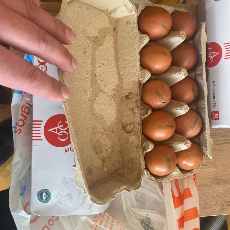 Kırık Yumurta Teslimatı İçin Acil İade Ve Yeniden Gönderim Talebi