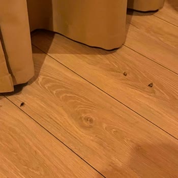 Böcekli Bungalovda Konaklama Sorunu Ve İade Talebi