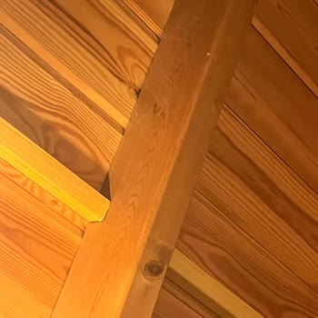 Böcekli Bungalovda Konaklama Sorunu Ve İade Talebi