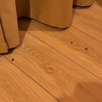 Böcekli Bungalovda Konaklama Sorunu Ve İade Talebi