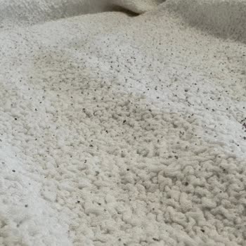 Defnehome34 Koltuk Örtüsünde Hızlı Tüylenme Ve Kalite Sorunu