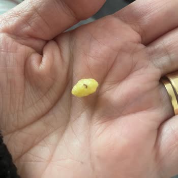 Mini Cheetos Shots Paketi İçinde Kahverengi Yabancı Madde Görüldü