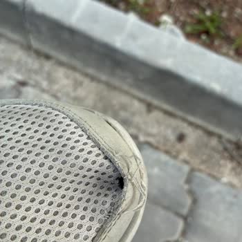 Skechers Ayakkabısında Burun Açılması Ve Değişim Talebi