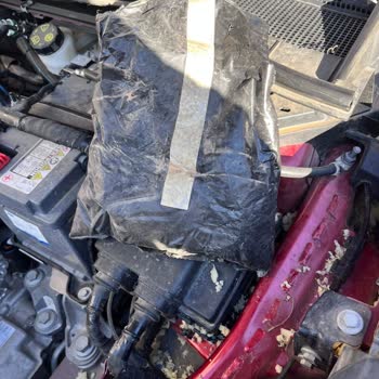 Sıfır Kilometrede Çöp Poşeti İçinde Sünger Parçaları Görmek Güveni Sarstı