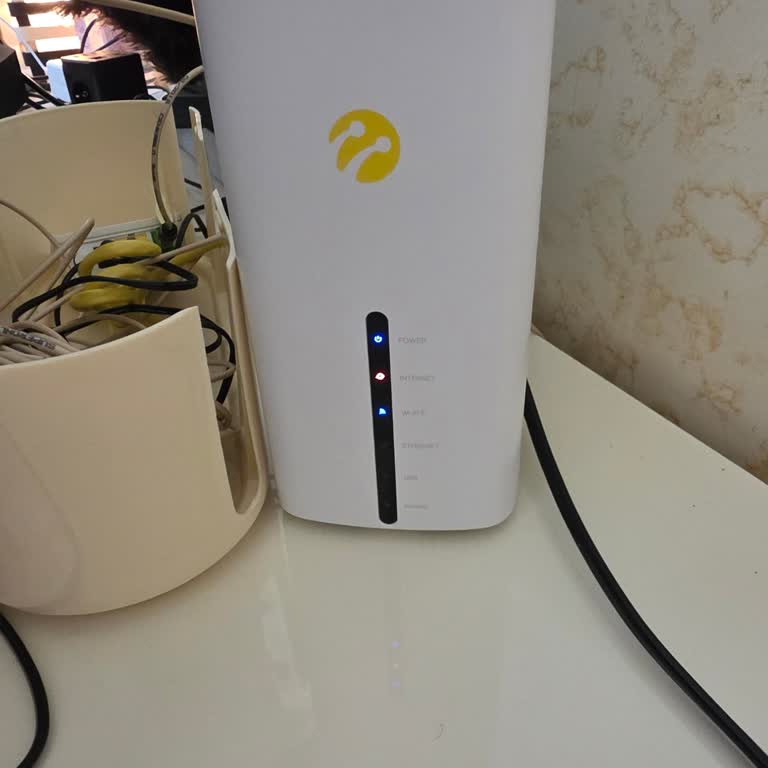 İnternet Kesildi, Modemde Böcekler: Acil Çözüm Talebi