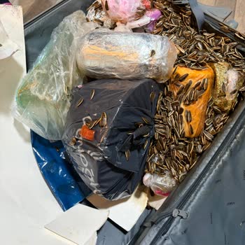 Türk Hava Yolları'na Aşırı Bagaj Ücreti Ve Hasarlı Valiz İadesi Talebi