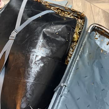 Türk Hava Yolları'na Aşırı Bagaj Ücreti Ve Hasarlı Valiz İadesi Talebi