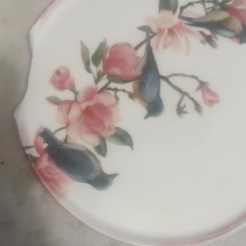 Kırık Ve Eksik Parçalar İçin Uzun Süre Çözüm Bekleyen Müşteri Şikayeti