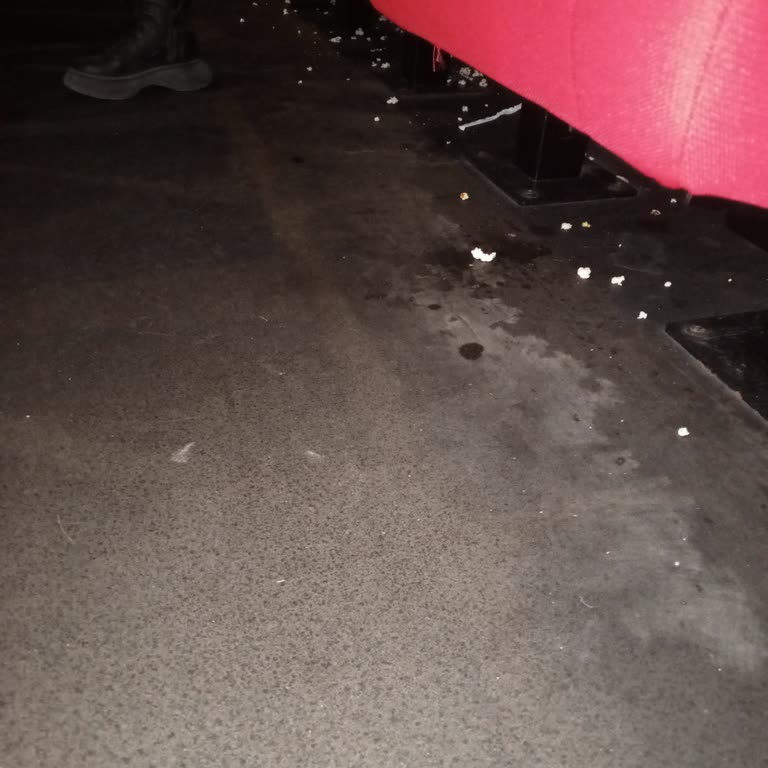 Avşar Sinemaları Salon Hem Belirgin Şekilde Kirliydi Hem De Oldukça Havasızdı