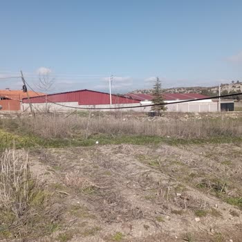 Türk Telekom Kablonun Düşük Seviyede Asılı Olması Tarım Ve Güvenlik Riskine Yol Açıyor