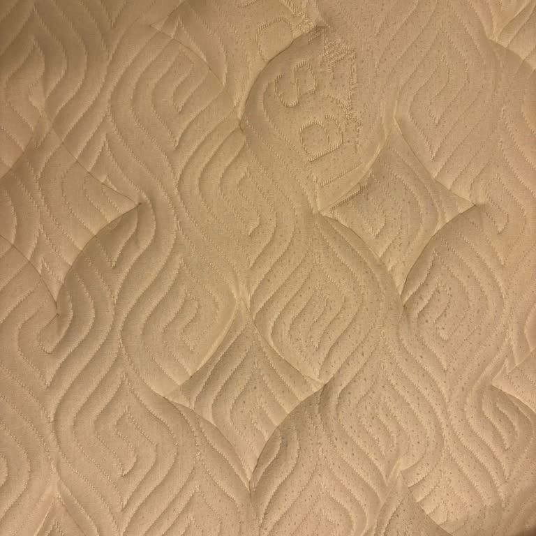 Edremit Bambi Bayisinde Yüzey Tüylenmesi Ve Yay Sesleri Sorunu