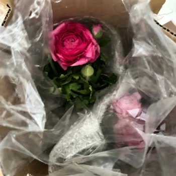 Yanlış Çiçek Gönderimi Ve İade Reddedilmesi