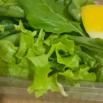 Pide Store Yeşilliklerin İçinden Kurt Çıkıyor