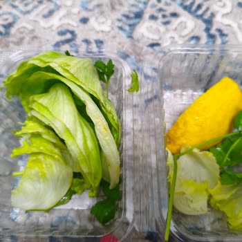 Marul Ve Limon Eksikliği, Hijyen Sorunu