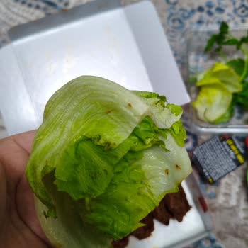 Marul Ve Limon Eksikliği, Hijyen Sorunu