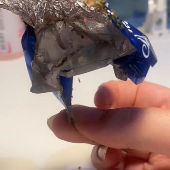 Ülker Senfoni Çikolatasında Böcek Tespiti Ve Hijyen Şikayeti