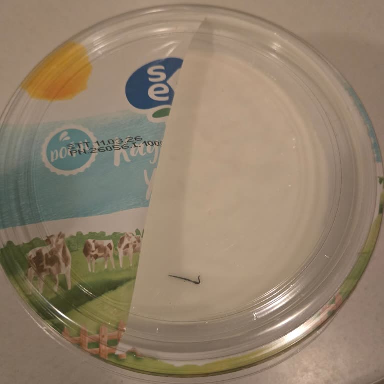 Sek Yoğurdunda Yeşil Yabancı Cisim Sağlık Endişesi Ve Güven Sorunu