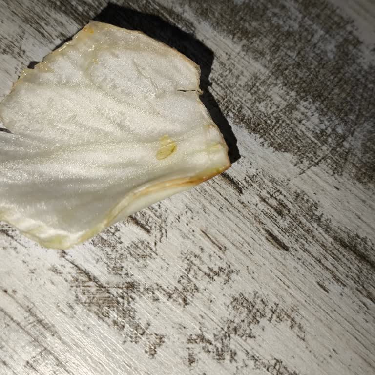 Popeyes Bolu Şubesinde Bozulmuş Salata Ve Şikayet Kanalı Bulunmaması