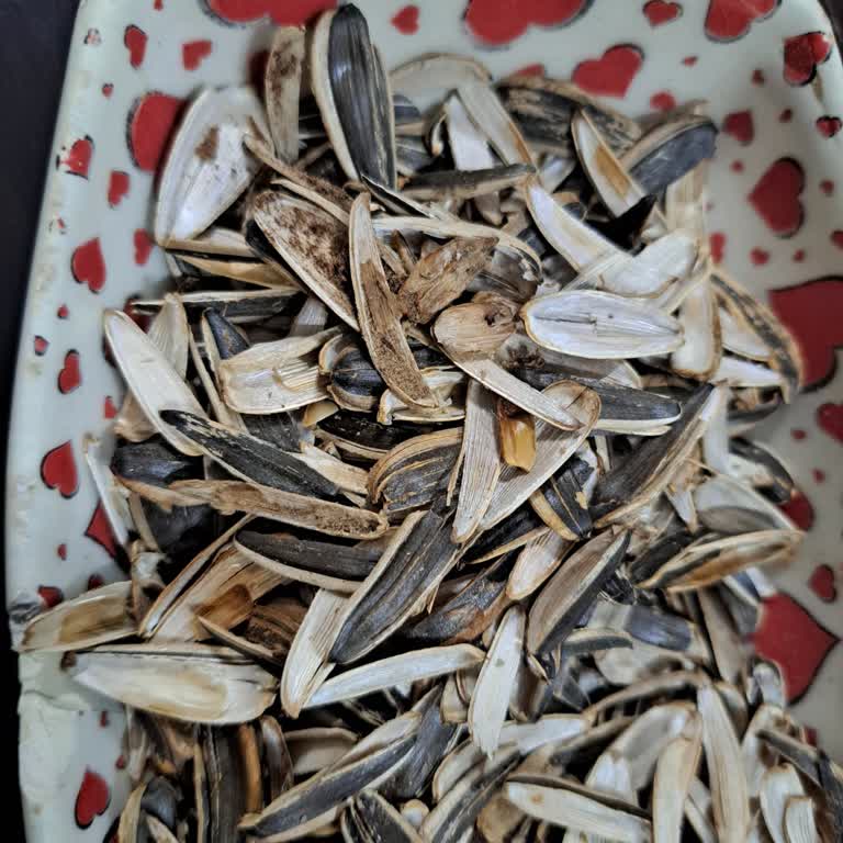 Amigo Çekirdeği Son Tarih İçinde Çürük Çıktı, Sağlık Ve Maddi Mağduriyet Oluşturuyor