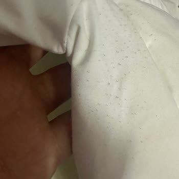 İlk Gün Tiftiklenme, İnceleme Redleri Ve Şirketin İlgisizliği