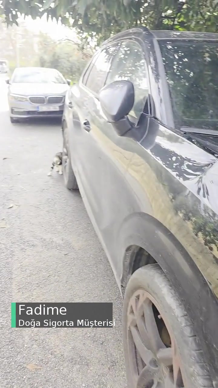 Doğa Sigorta Oyalama, Taraflı Ekspertiz, Yanlış Yönlendirme, İlgisizlik! videonun kapak resmi