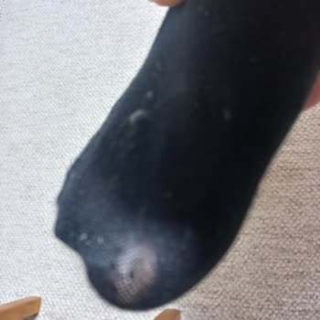 Pierre Cardin Giyim Çoraplarında Kalitesiz Üretim Nedeniyle Açılma Sorunu