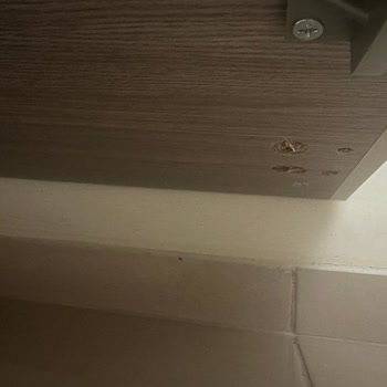 Ranzalı Genç Odası Takımının Alt Demirleri Çöktü Ve Servis İlgisizliği