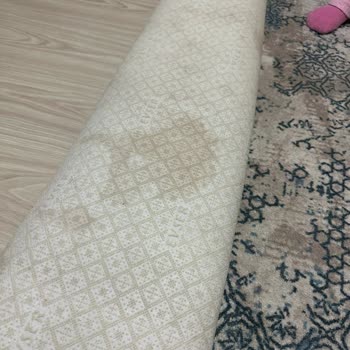 Emir Halı Yıkama’da Çözülmeyen Temizlik Ve Tehdit İddiaları