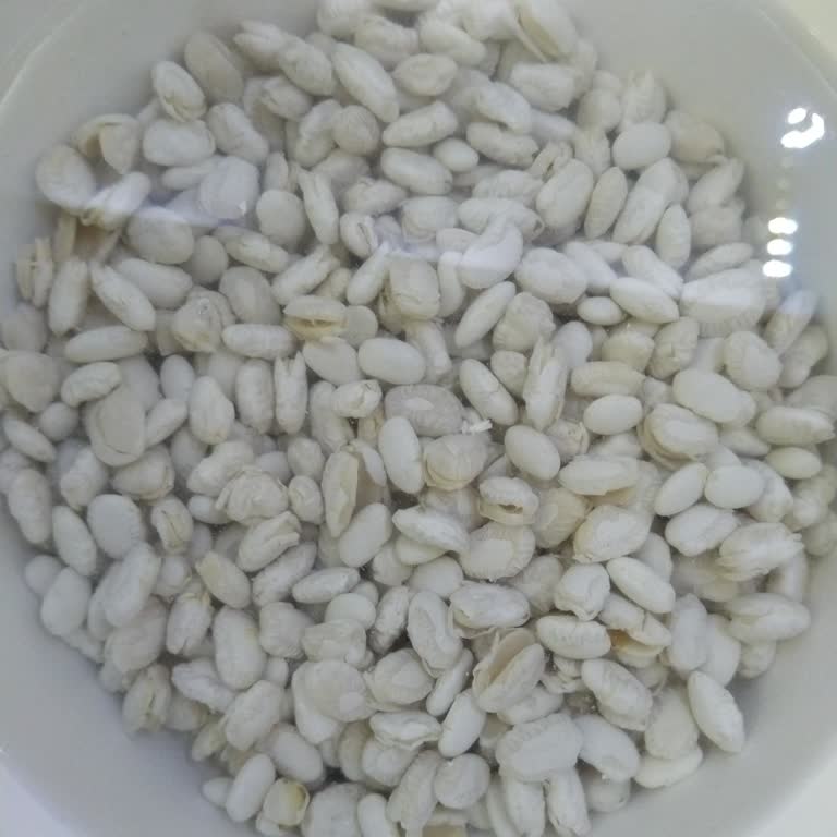 Hasata Kuru Fasulyede Kabukların Çabuk Soyulması Ve Yarılması