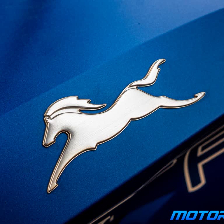 TVS Apache RTR 200 Orijinal Logo Parçası Temin Edilemiyor