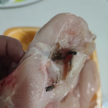 BİM Tazem Tavuk Göğsünde Metal Parça Ve Yağlı Kalıntı Sağlık Riski Oluşturuyor