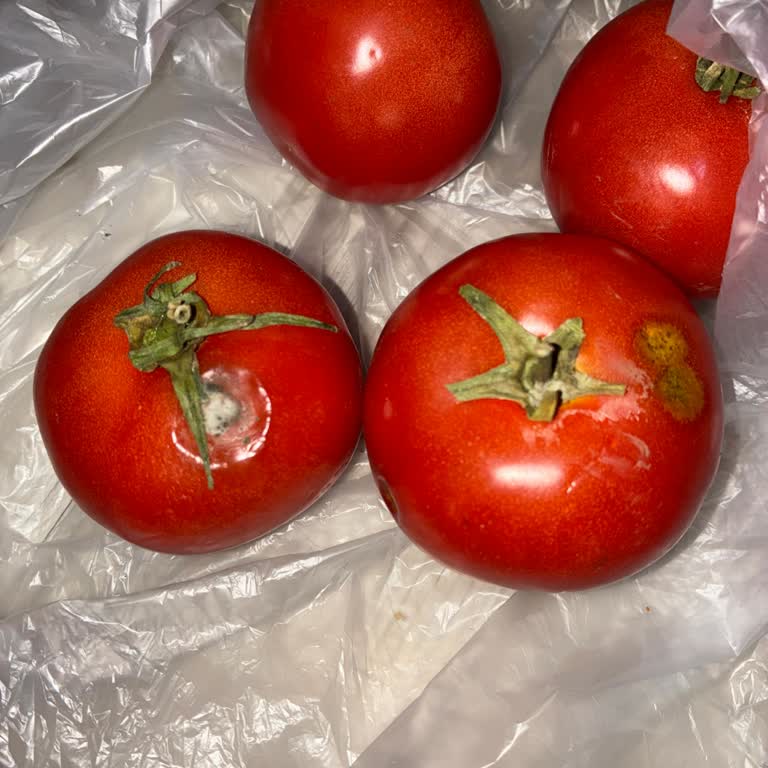 Çürük Domates Teslimatı Ve Ücret İadesi Talebi