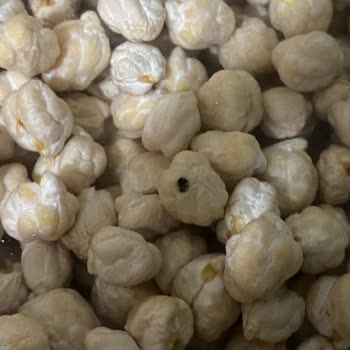 BİM Şubesinde Böceklenmiş Nohut Ürünü Hijyen Sorunu